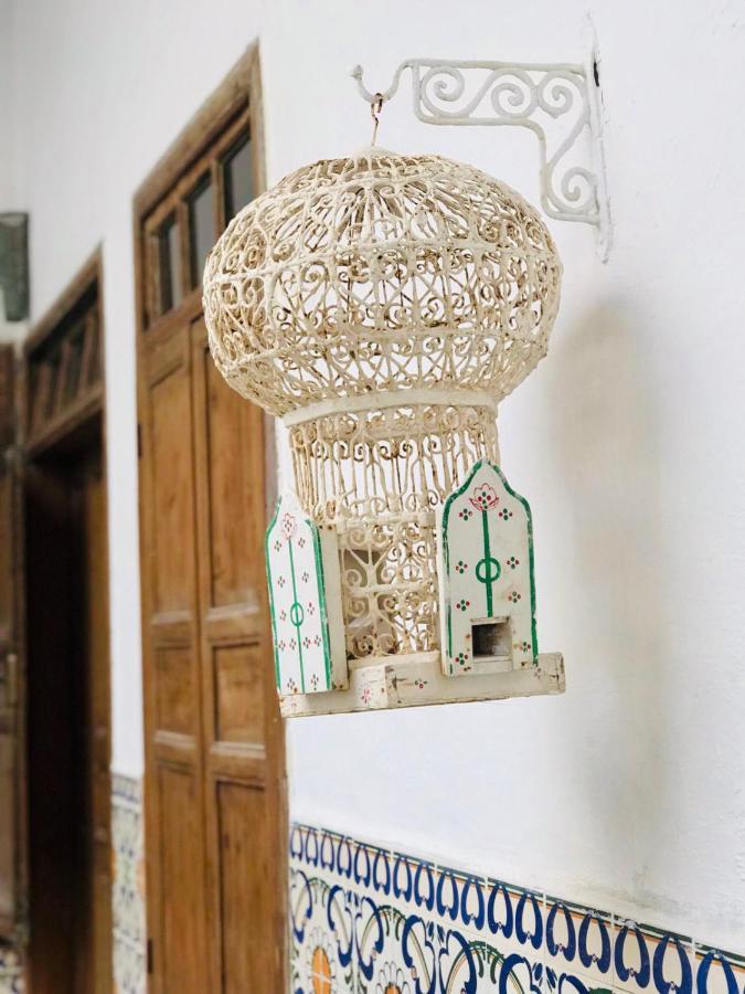 Riad De La Mer As-Suwajra Zewnętrze zdjęcie